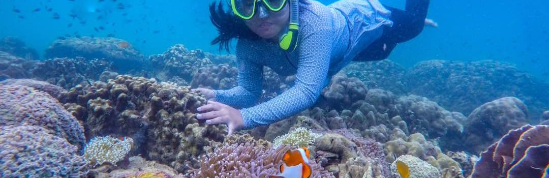 gili snorkling